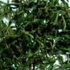 庐山云雾茶