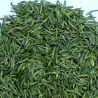 蒙顶茶