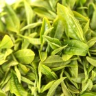 宝洪茶