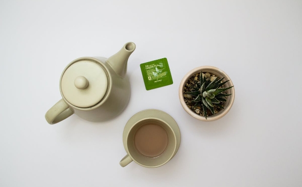 宝洪茶1.jpg 宝洪茶1.jpg