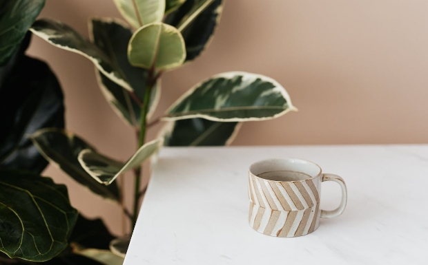 桂东玲珑茶1.jpg 桂东玲珑茶1.jpg