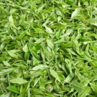 桂东玲珑茶