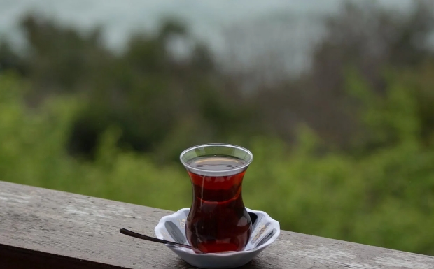 庐山云雾茶2.jpg 庐山云雾茶2.jpg