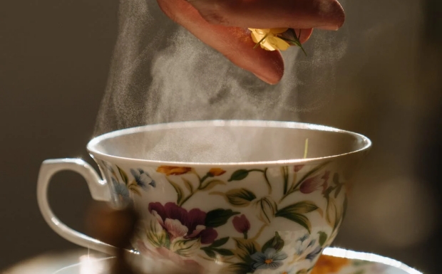 黄竹白毫2.jpg 黄竹白毫2.jpg