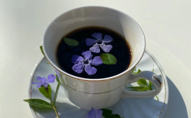 水仙茸勾茶4.jpg 水仙茸勾茶4.jpg