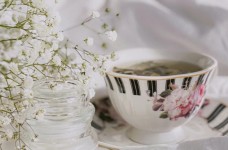 千岛玉叶多少钱一斤