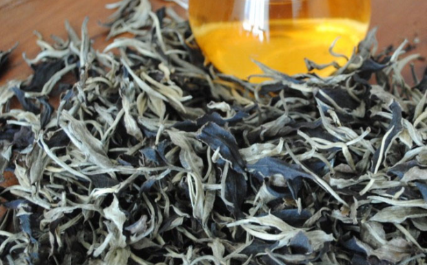 月光白属于什么茶类.png 月光白属于什么茶类.png