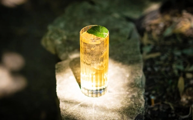 石笕茶5.jpg 石笕茶5.jpg
