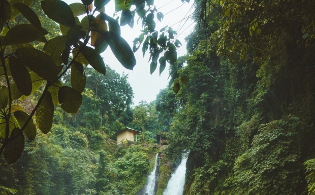 天山绿茶4.jpg 天山绿茶4.jpg