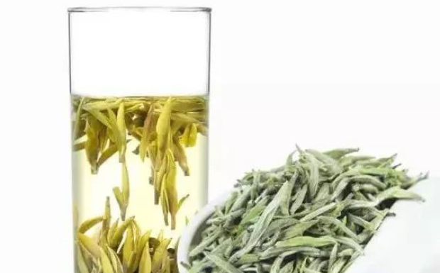 君山银针属于什么茶.png 君山银针属于什么茶.png