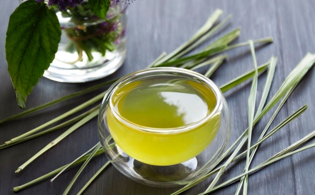 石笕茶6.jpg 石笕茶6.jpg