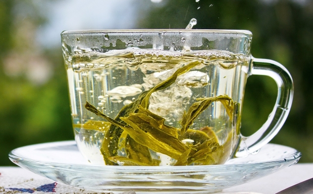 仙人掌茶5.jpg 仙人掌茶5.jpg