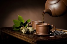 上饶白眉茶