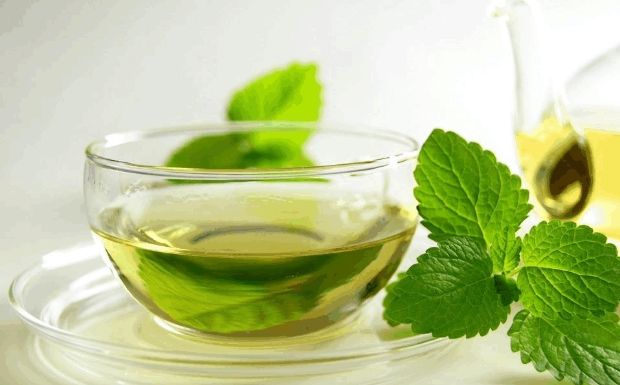 仙人掌茶6.jpg 仙人掌茶6.jpg