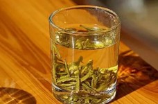 江山绿牡丹是什么茶