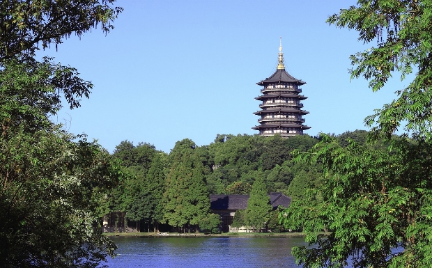 西湖龙井6.jpg 西湖龙井6.jpg