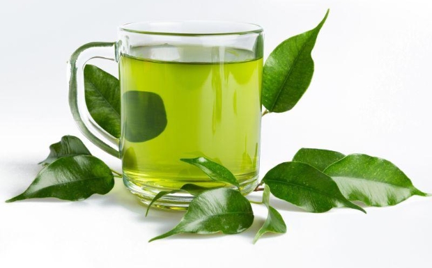 庐山云雾茶7.jpg 庐山云雾茶7.jpg