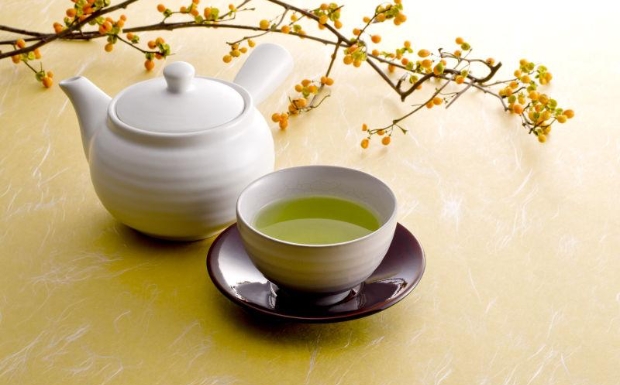 绿春玛玉茶10.jpg 绿春玛玉茶10.jpg