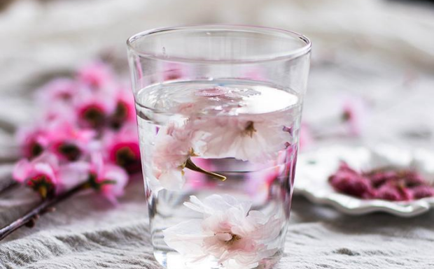 桃花茶的功效与作用.png 桃花茶的功效与作用.png