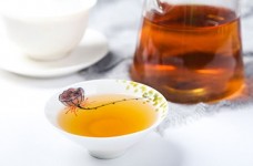 麻姑茶如何喝