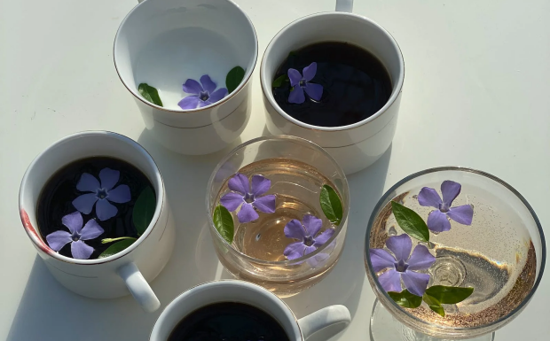 桃花茶和什么搭配喝好.png 桃花茶和什么搭配喝好.png