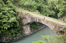 绿春玛玉茶的市场状况