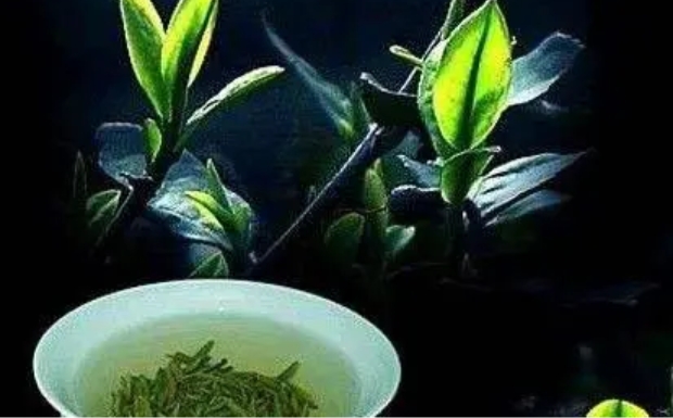 石笕茶价格.jpg 石笕茶价格.jpg