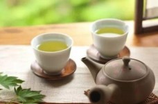 都匀毛尖属于绿茶还是红茶