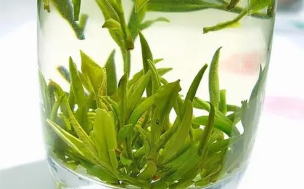 永川秀芽什么时候喝最好.jpg 永川秀芽什么时候喝最好.jpg