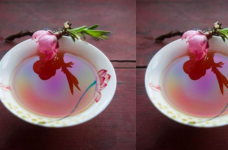 日照红梅茶多少钱一斤