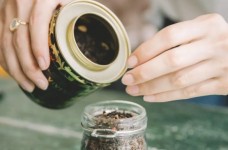 麻姑茶你知道吗