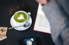 绿春玛玉茶的主要品种
