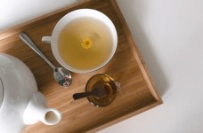 仙人掌茶属于什么茶