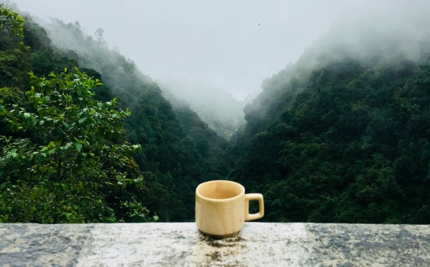 大佛龙井是绿茶吗.jpg 大佛龙井是绿茶吗.jpg