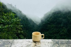 大佛龙井是绿茶吗