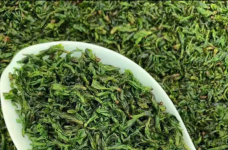 苦丁茶减肥方法有用吗