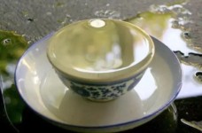 西湖龙井明前茶价格