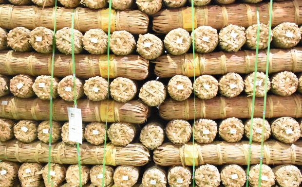 千两茶怎么开茶.png 千两茶怎么开茶.png