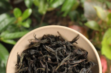 老枞水仙属于什么茶