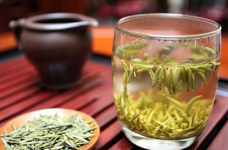 鹿苑毛尖又叫远安黄茶吗
