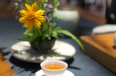 午子仙毫的泡法