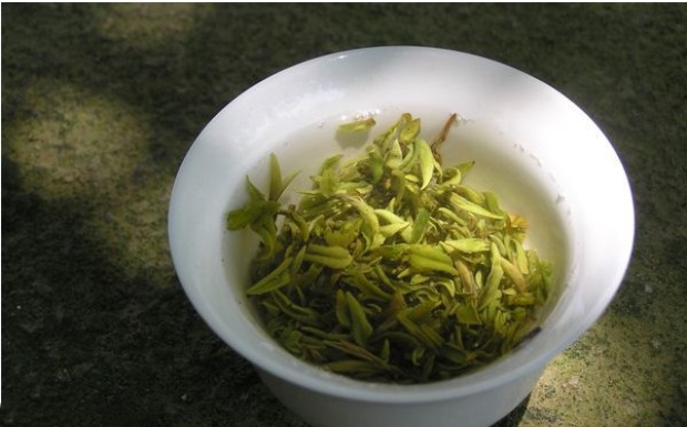 莫干黄芽的功效作用与禁忌.png