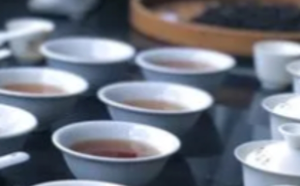 仙人掌茶的价值功能.jpg 仙人掌茶的价值功能.jpg
