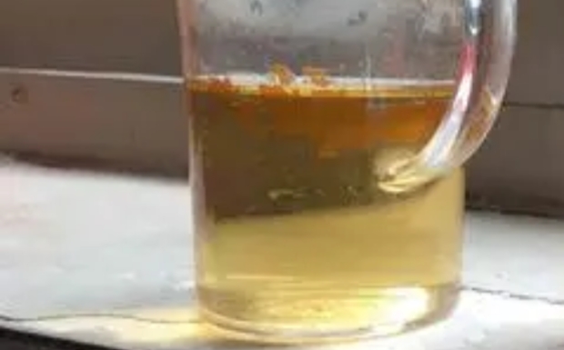 麻姑茶的冲泡方法和比例.jpg 麻姑茶的冲泡方法和比例.jpg
