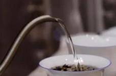 天山绿茶多少钱一斤