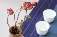 江山绿牡丹与常山龙顶哪个好