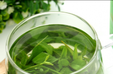 苦丁茶和什么搭配最好