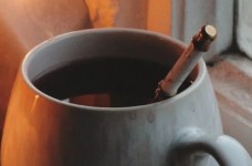 天山绿茶产地哪里