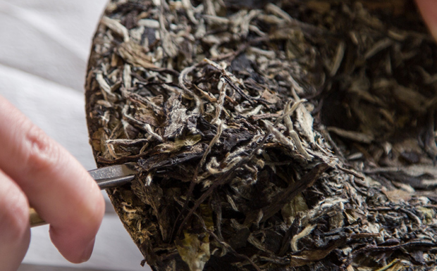 白牡丹茶产地.png 白牡丹茶产地.png