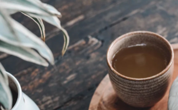 建德苞茶钻苞特级.jpg 建德苞茶钻苞特级.jpg